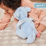 Baby Gund - Playful Pals - Zephie Dragon - 10"
