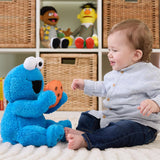 Gund - Sesame Street - Peek a Boo Cookie Monster - 11"