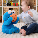Gund - Sesame Street - Peek a Boo Cookie Monster - 11"