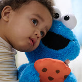 Gund - Sesame Street - Peek a Boo Cookie Monster - 11"