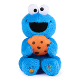 Gund - Sesame Street - Peek a Boo Cookie Monster - 11"