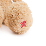 Gund - Forever Friends - Toothpick Bear - 15"