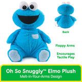 Baby Gund - Oh So Snuggly Cookie Monster - 12.5"