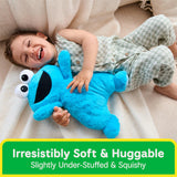 Baby Gund - Oh So Snuggly Cookie Monster - 12.5"