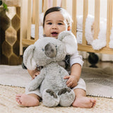 Baby Gund - Lil' Luvs Koala - 12"