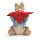 Gund - Peek a Boo - Peter Rabbit - 10"