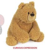 Gund - Growler Bear - 11"