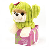 Gund  - Itty Bitty Boo - Cactus - 5"