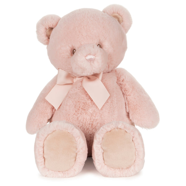 Baby Gund - My First Friend Teddy Bear - Pink - 18"