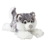 Wishpets - Floppy Husky - 10"