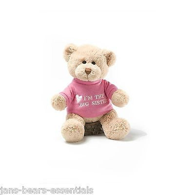 Gund - I'm the Big Sister Message Bear - 12"